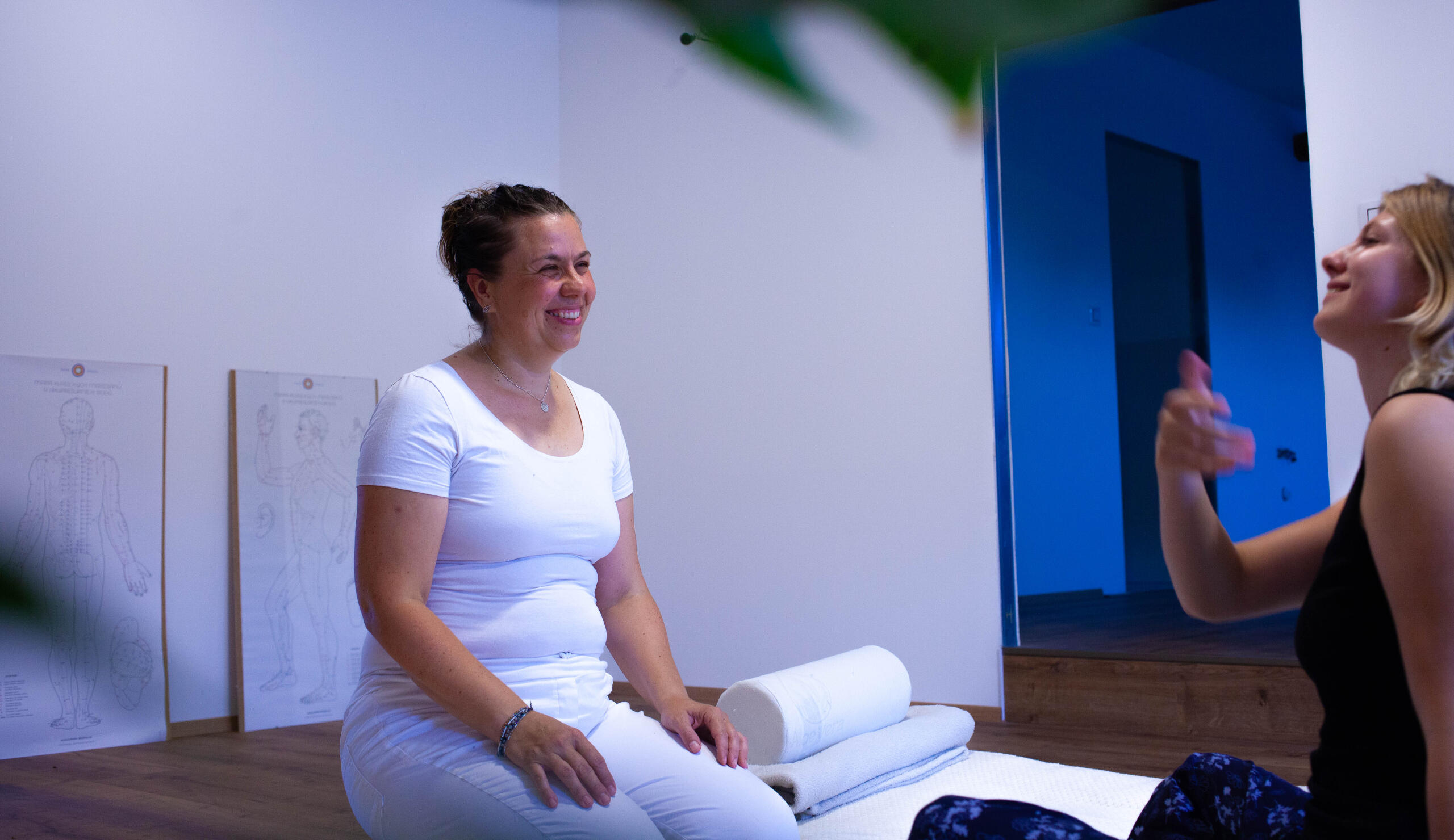 Shiatsu úvodní rozhovor - zjištění klíčových informací a uvolnění atmosféry Polocelek terapeuta a klienta, diskutujících o klientovo životě a problému, kvůli kterému přišel. Rozhovor uvolní atmosféru a zpříjemní samotnou masáž, také pomůže terapeutovi zjistit kde by mohl být problém.